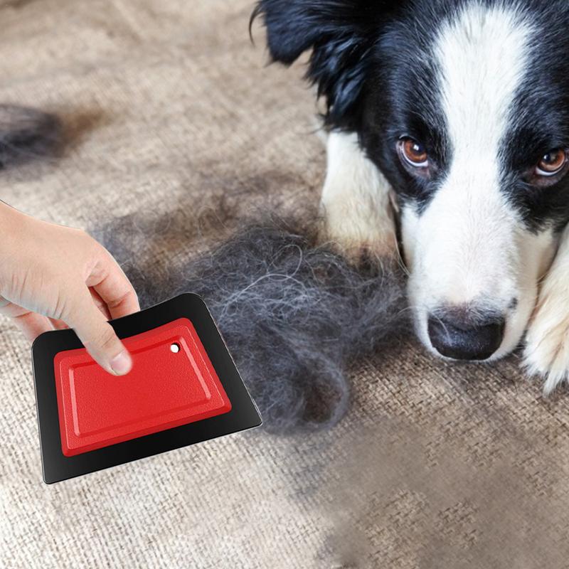 Pet Hair Remover Kamborstel Ho - Detailing Brush Set recensie en prijs